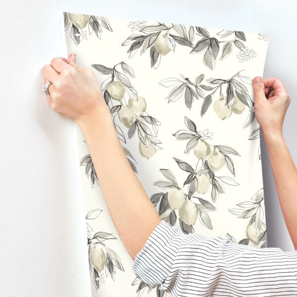 Lemonade Charcoal Citrus Wallpaper