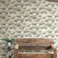 Root Rock Brown Wallpaper