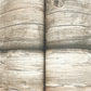 Bunkhouse Ash Wallpaper