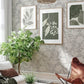 Bernadina Grey Rosebush Wallpaper