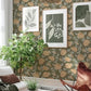 Bernadina Moss Rosebush Wallpaper