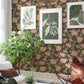 Bernadina Black Rosebush Wallpaper