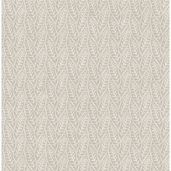 Coleus Grey Leaves Wallpaper