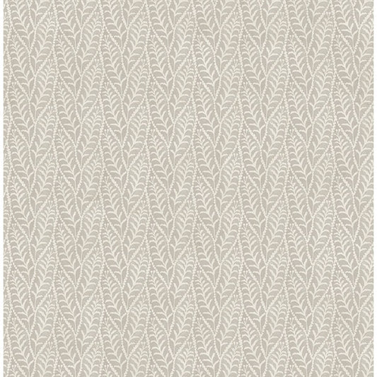 Coleus Grey Leaves Wallpaper