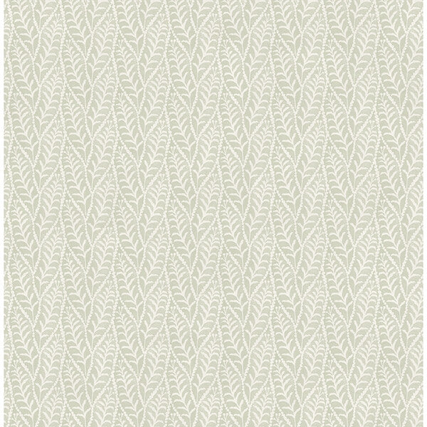 Coleus Sage Leaves Wallpaper