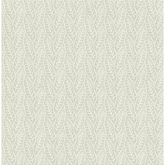 Coleus Sage Leaves Wallpaper