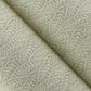 Coleus Sage Leaves Wallpaper