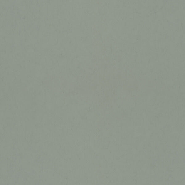 Parget Avokado Green Textured Wallpaper