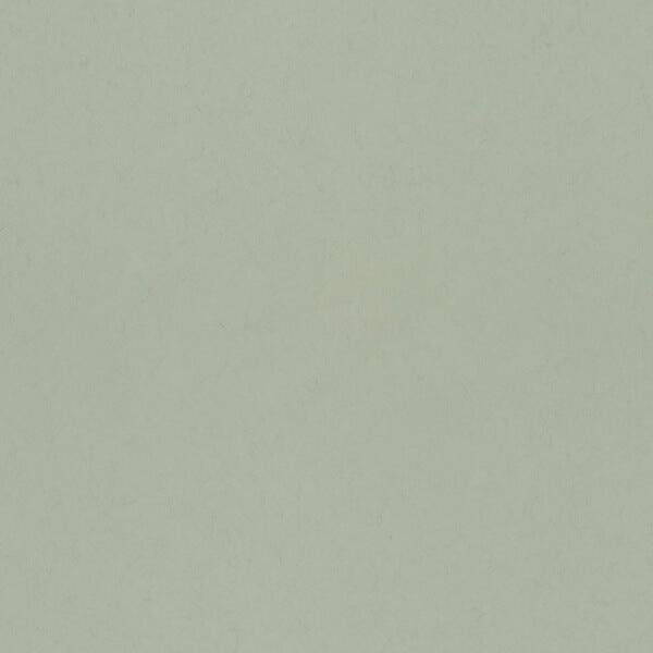 Parget Vår Light Green Textured Wallpaper