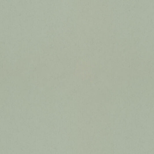 Parget Vår Light Green Textured Wallpaper