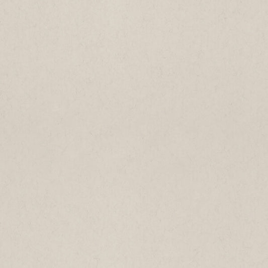 Parget Vide Dove Textured Wallpaper