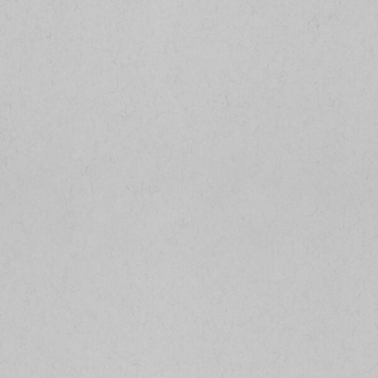 Parget Morgondis Light Grey Textured Wallpaper