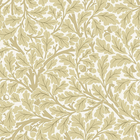 Oak Tree Light Yellow Leaf Wallpaper