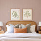 Kallam Pink Chevron Wallpaper