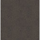 Hollenback Black Dotted Abstract Wallpaper