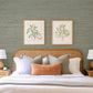 Reynier Moss Hemp Wallpaper
