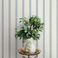 Johnny Blue Stripes Wallpaper