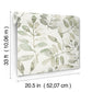 Pinnate Green Leaves Wallpaper