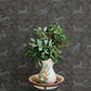 Revelry Black Forest Frolic Wallpaper