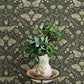 Mystic Moth Dark Green Forest Magic Wallpaper