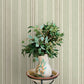 Calvados Moss Linen Stripe Wallpaper