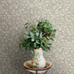 Poppy Trail Grey Floral Wallpaper