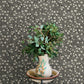 Poppy Trail Black Floral Wallpaper