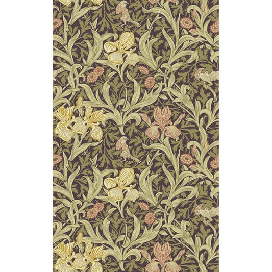 Iris Plum Wild Gardens Wallpaper