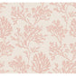 Tortuga Pink Coral Weave Wallpaper