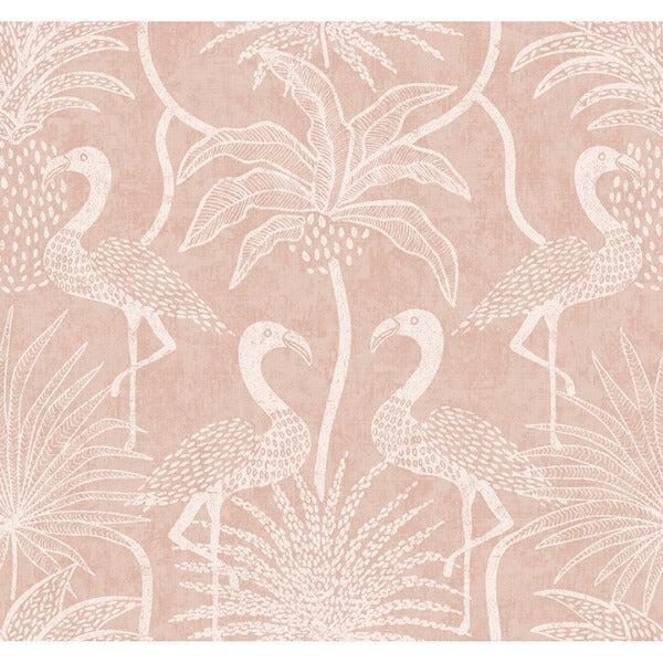 Biscayne Coral Flamingo Beach Wallpaper