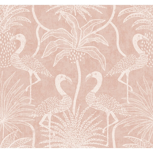 Biscayne Coral Flamingo Beach Wallpaper