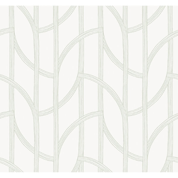 Salvo Light Green Curved Contours Wallpaper