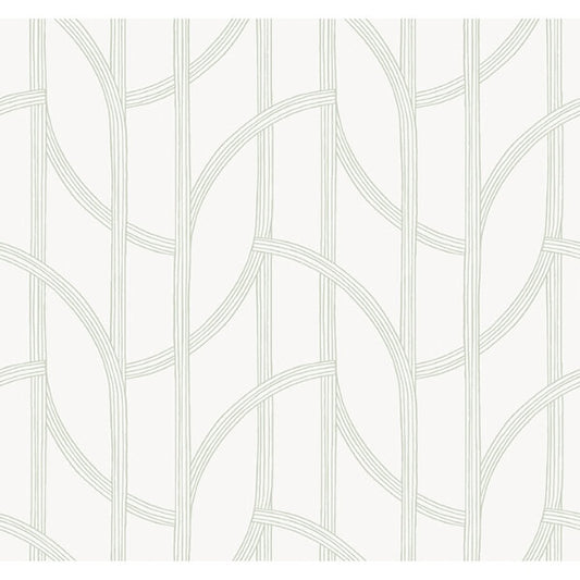 Salvo Light Green Curved Contours Wallpaper