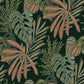 Alocasia Multicolor Tropical Foliage Wallpaper