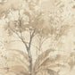 Mistwood Coffee Forest Wallpaper