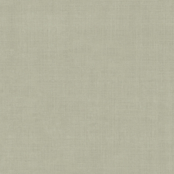 Midolin Pewter Texture Wallpaper