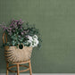 Midolin Moss Texture Wallpaper