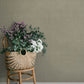 Midolin Stone Texture Wallpaper