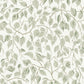 Hängbjörk Sage Vine Wallpaper