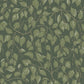 Hängbjörk Evergreen Vine Wallpaper