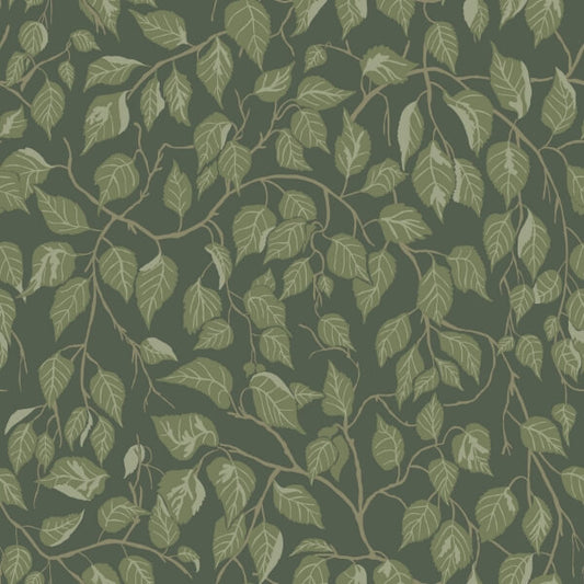 Hängbjörk Evergreen Vine Wallpaper