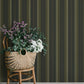 Herrgård Black Stripe Wallpaper