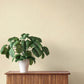 Cullen Khaki Faux Linen Wallpaper