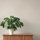 Naim Beige Solid Texture Wallpaper