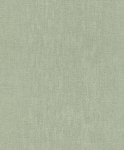 Naim Sage Solid Texture Wallpaper