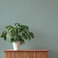 Naim Aqua Solid Texture Wallpaper