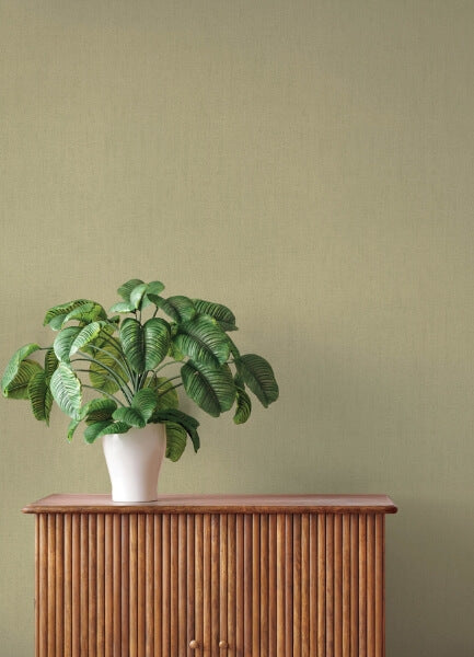 Naim Olive Solid Texture Wallpaper