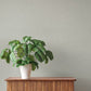 Naim Grey Solid Texture Wallpaper