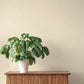 Naim Bone Solid Texture Wallpaper