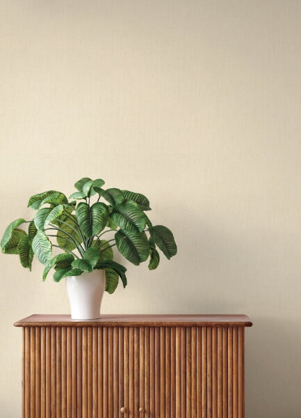 Naim Bone Solid Texture Wallpaper